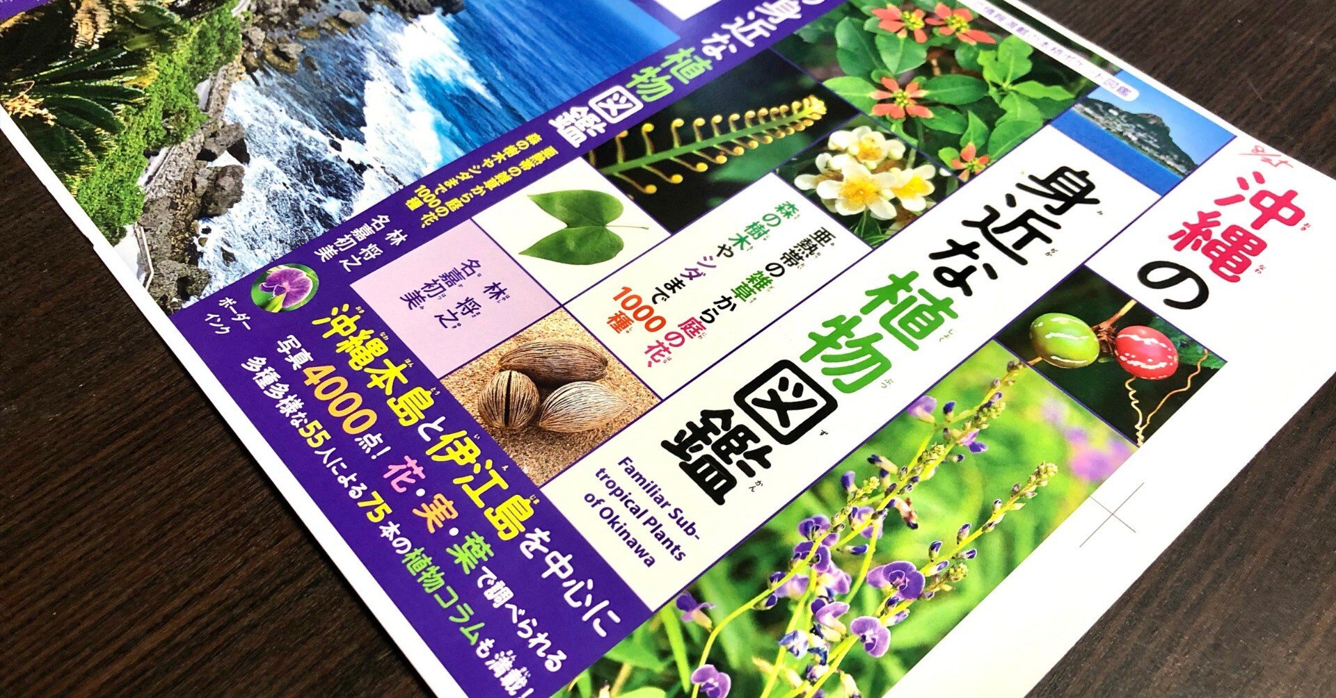 沖縄の身近な植物図鑑」 出版記念観察会のご報告｜林 将之 / Masayuki