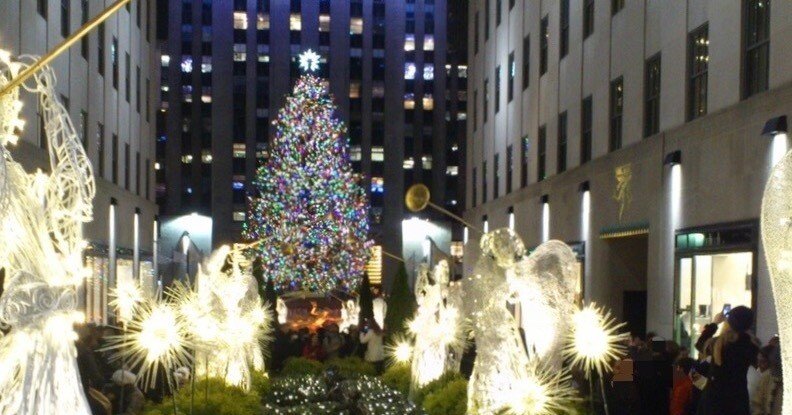 クリスマスツリー 本番アメリカ産 本物クリスマスツリーで溢れるアメリカの街｜まーぶる