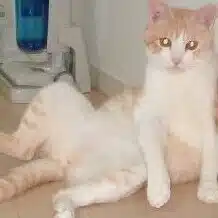 山下敬