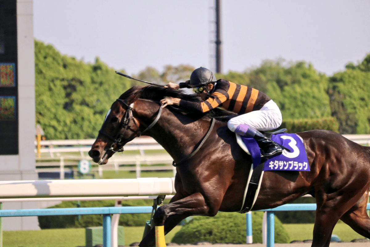 一目でわかる「あの人の馬！」〜勝負服の話〜｜ひでまさねちか