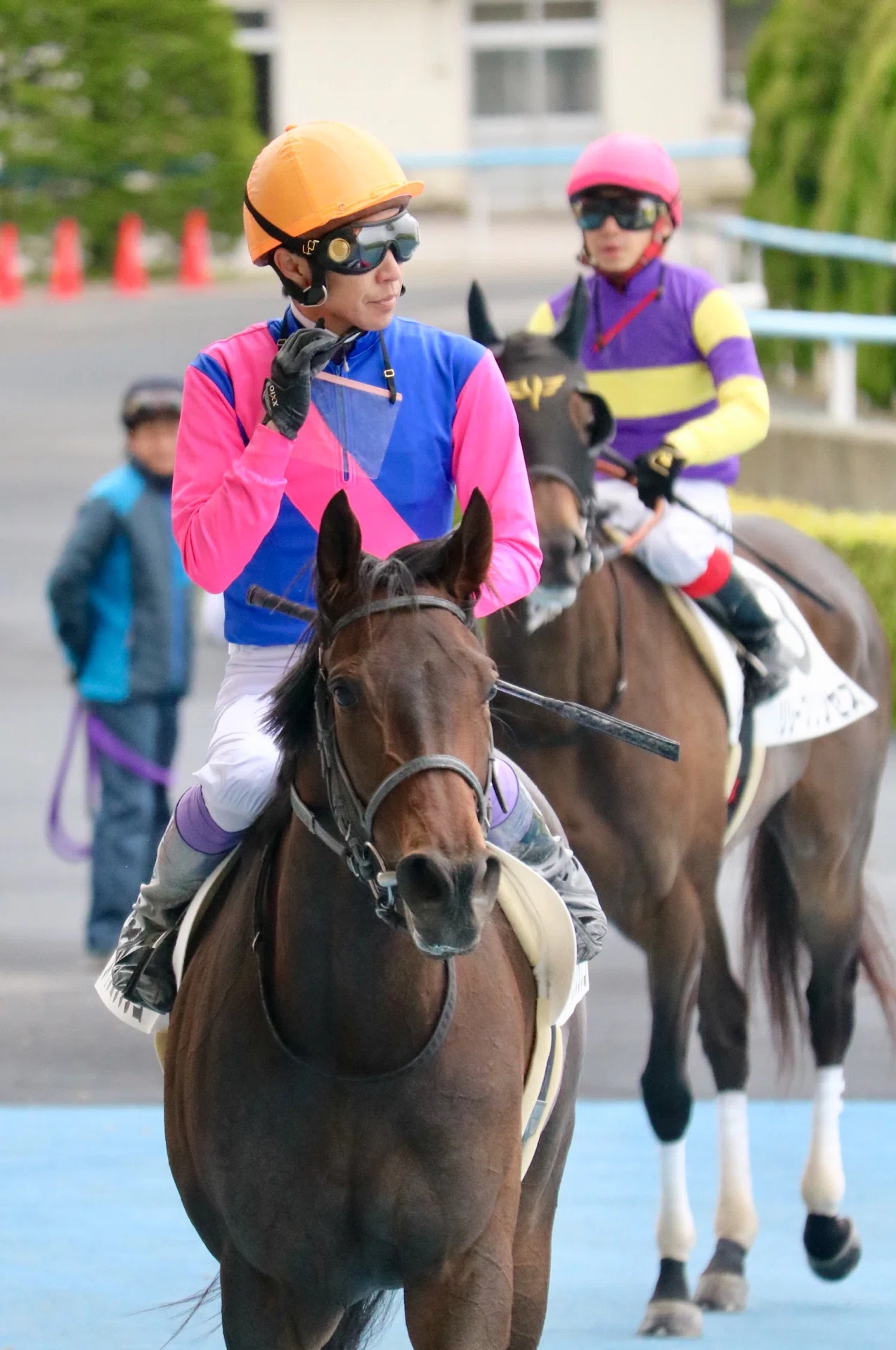 一目でわかる「あの人の馬！」〜勝負服の話〜｜ひでまさねちか
