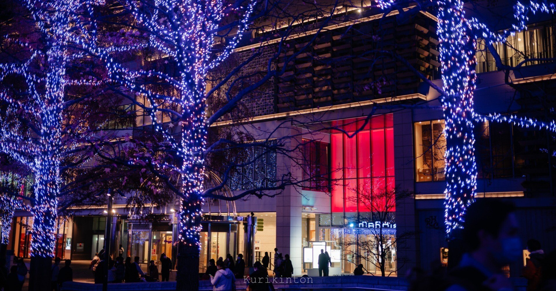 群青の世界：NIKKOR Z 40mm f2 ＆ NIKKOR Z 85mm f1.8 S｜栗きんとん