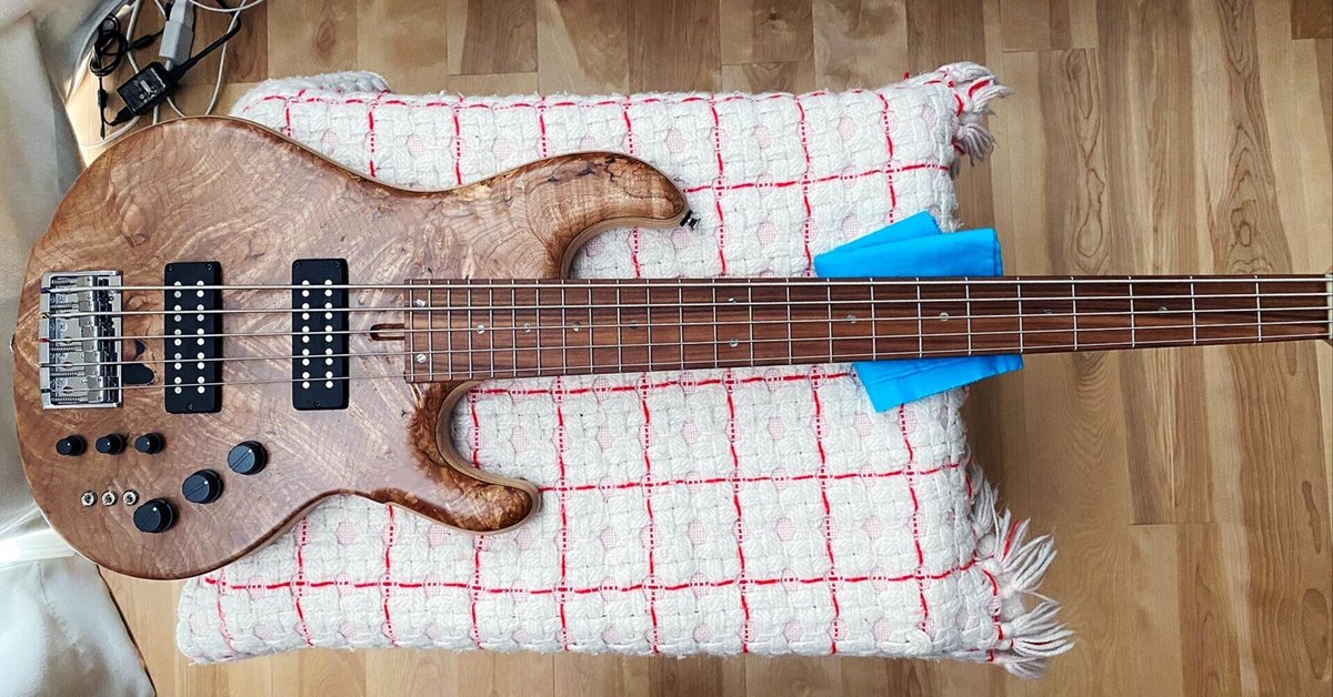 DRAGONFLY 5弦エレキベース SHB-5345 CUSTOM 動作確認済 new