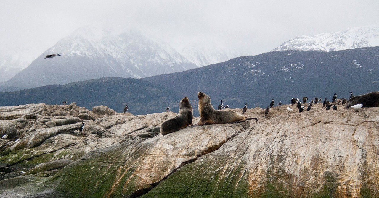 【中古】 近代イギリスと会社法の発展 産業革命期の株式会社１７２０ー１８４４年/南窓社/ロン・ハリス 中古】近代イギリスと会社法の発展:産業革命期の株式会社1720-1844