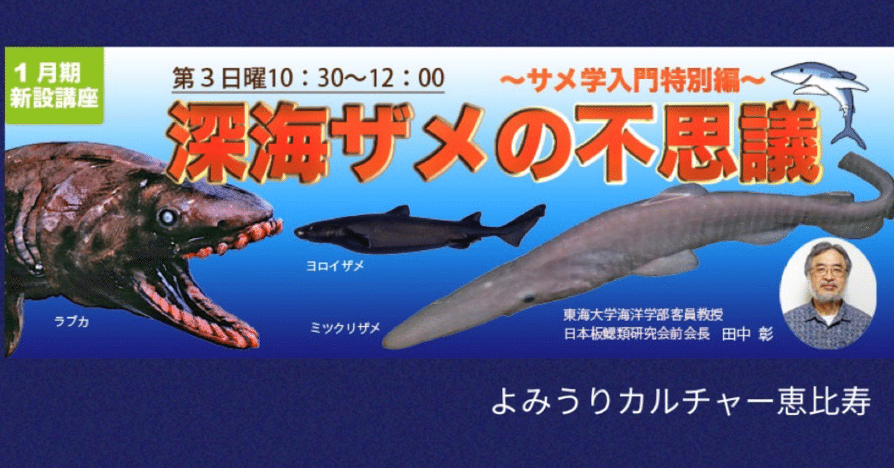 2023年1月から開講 田中彰先生による深海ザメの特別講座｜シャーク