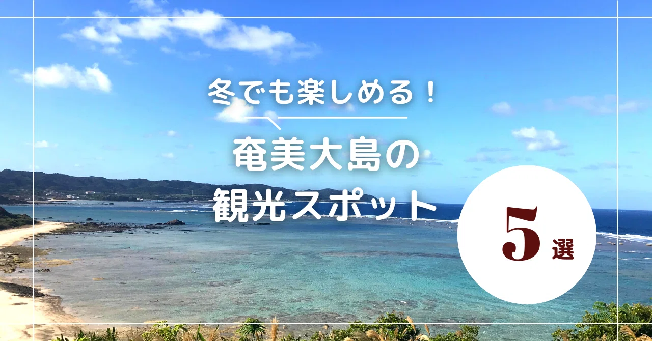 冬でも楽しめる 奄美大島の観光スポット5選 浜千鳥館 黒糖焼酎と奄美の特産品のお土産屋さん Note