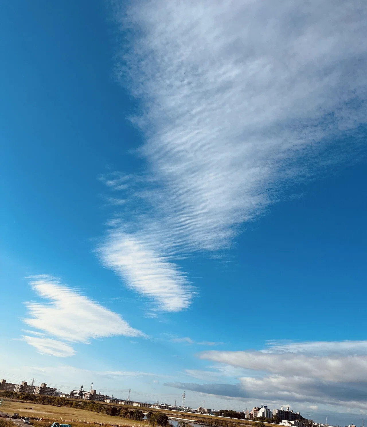 スッキリ✨】気持ち良い空でした✨✨空気が澄んでるので、ほんとに青空 