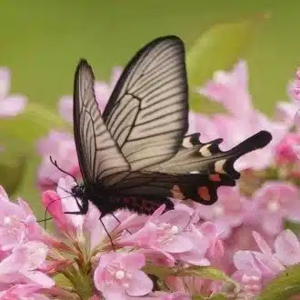 望の独り言