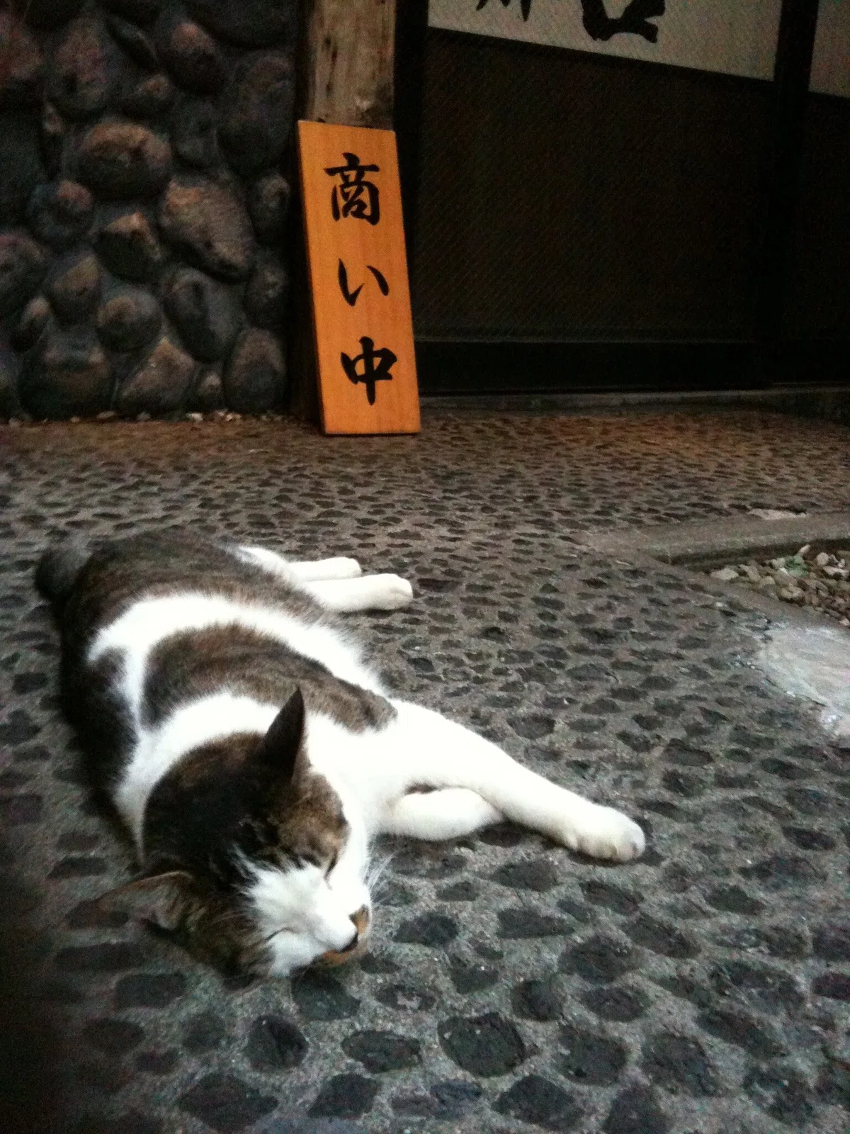 こういう場面に遭遇できるのは 宝くじ当たるのに匹敵するほど価値があると私は思…｜Maya