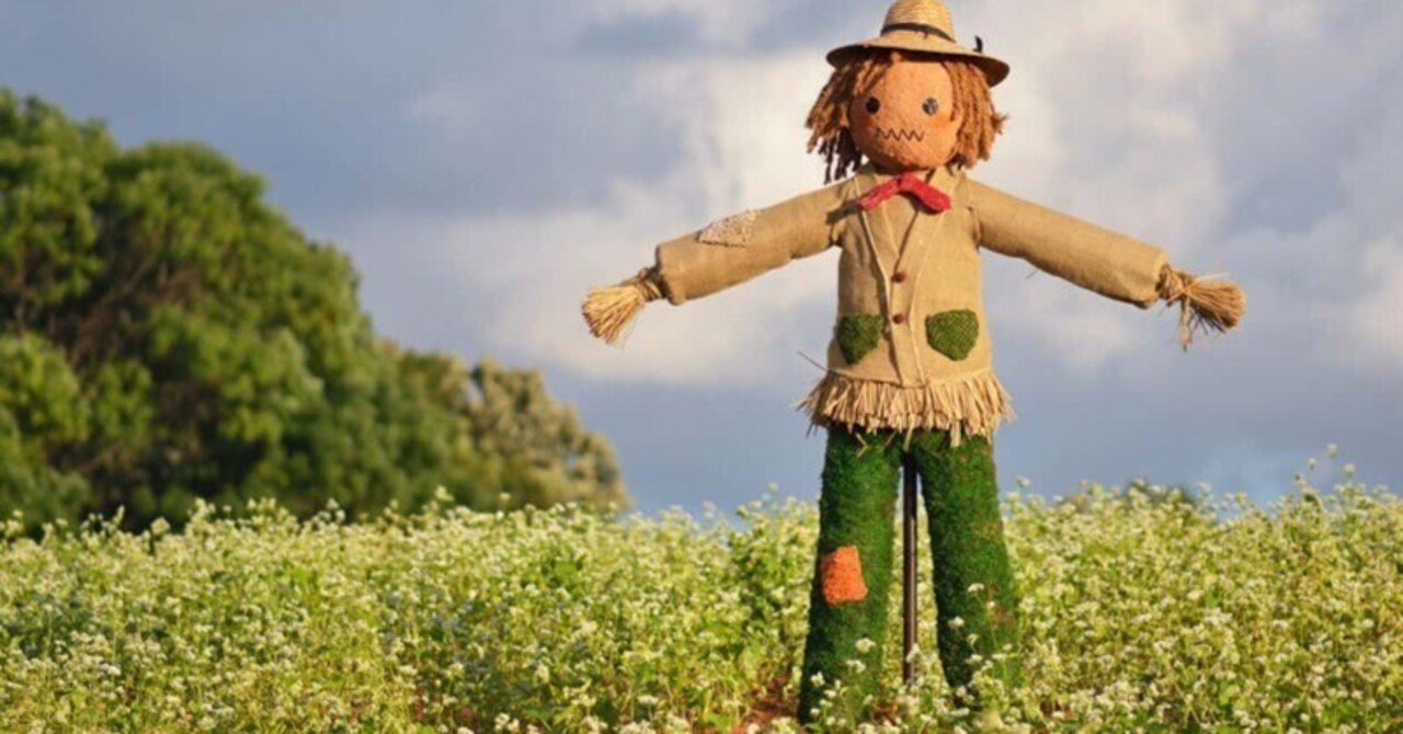 権力のファラシー 権力者があなたを洗脳する案山子論法とは エムケイコンサルティング Note