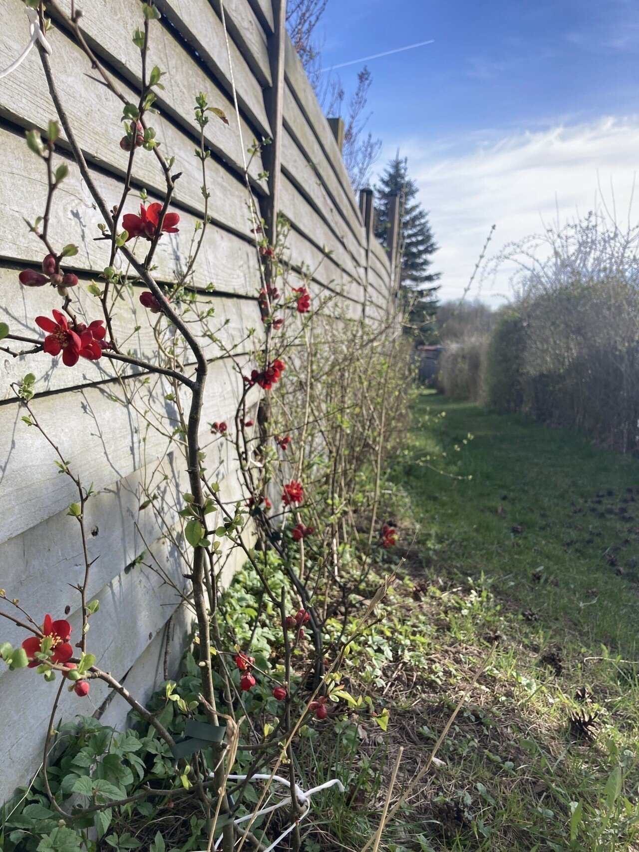 強烈な光を放ち瞬く間に過ぎ去っていく幸せとぬるま湯のようにずっと浸かっていたい幸せ。どっちがより幸せなんかじゃなく、きっとどちらもかけがえの