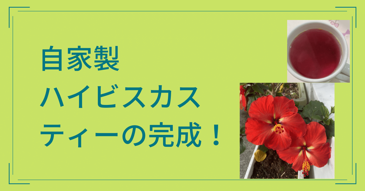 自家製ハイビスカスティー完成 Emirin Design Note