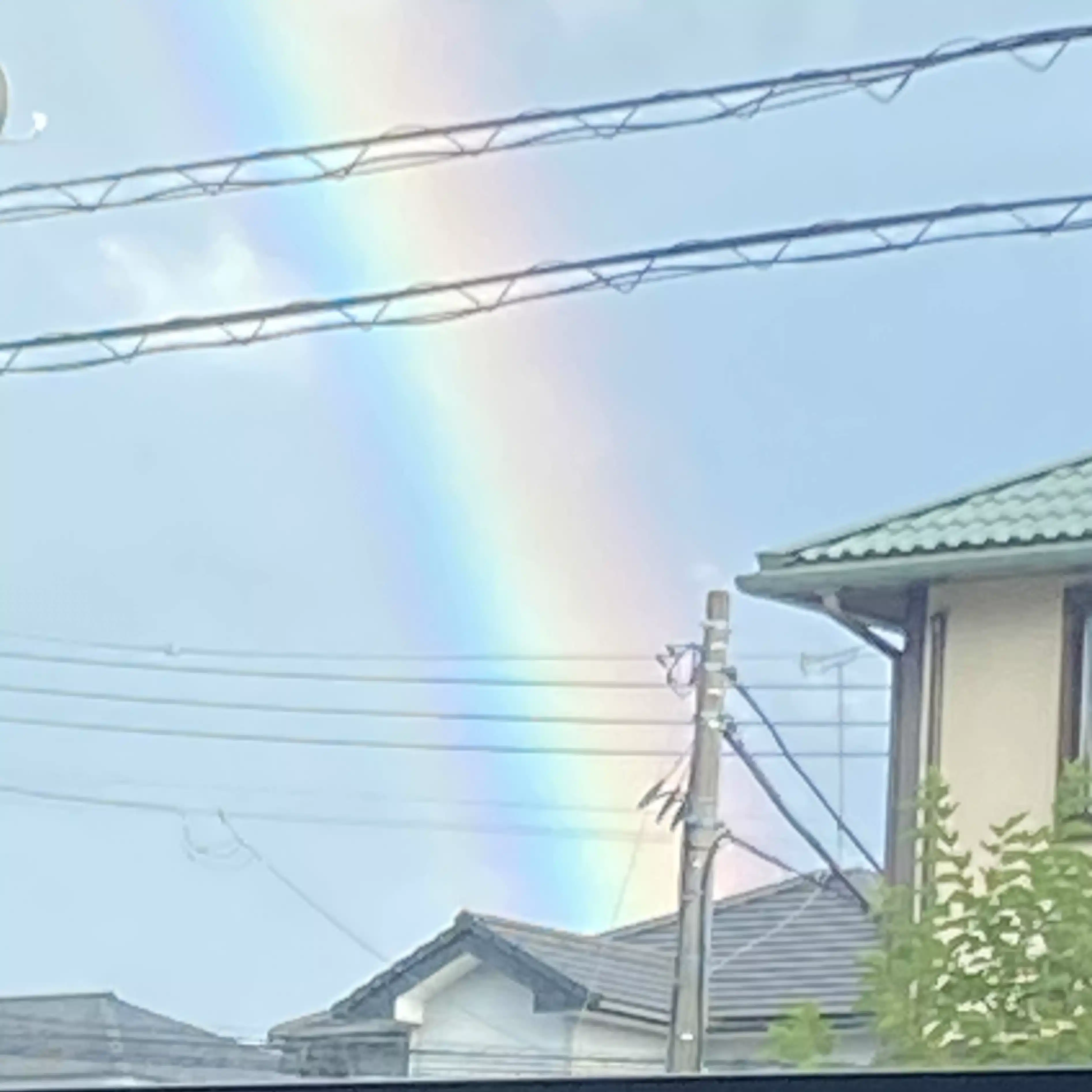 わいは今日も生きる。