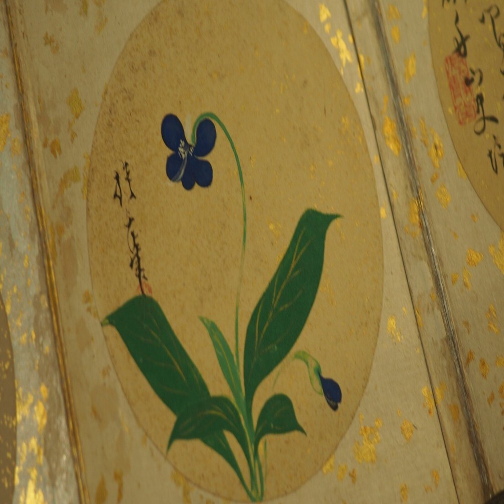 酒井抱一と千住酒合戦 そして鈴木其一 琳派の花園あだち 2 足立区郷土博物館 かわかわ Note