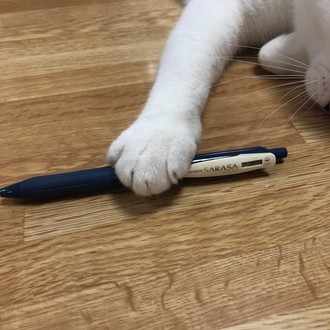 土日が毎週休みじゃなくても 充分幸せかもしれない ちぐら Note