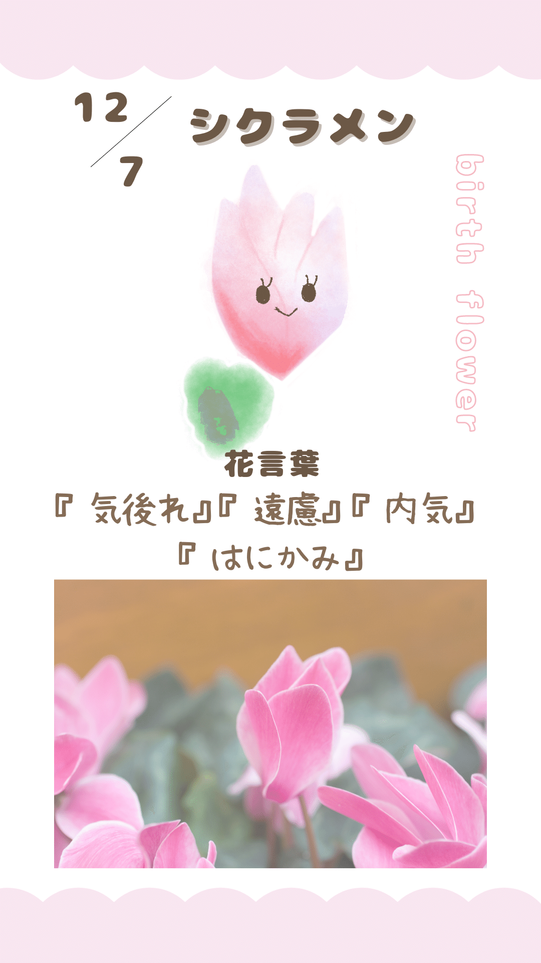 12月07日の誕生花と花言葉でおめでとう イラスト 写真 森田はぐみdesign イラストレーター Note