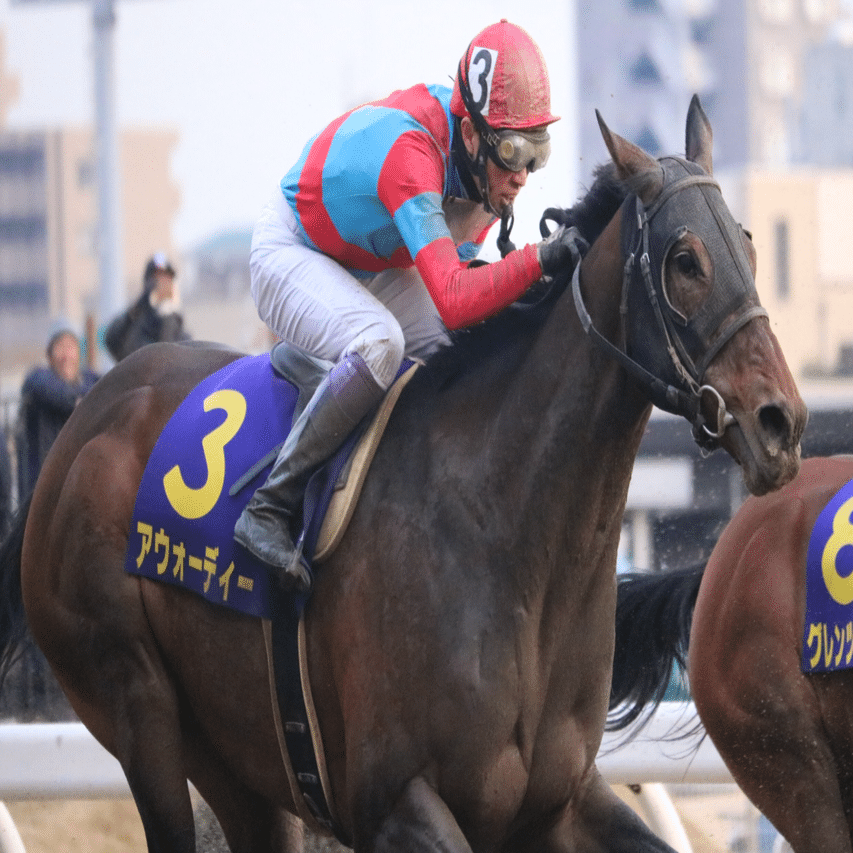 一目でわかる「あの人の馬！」〜勝負服の話〜｜ひでまさねちか