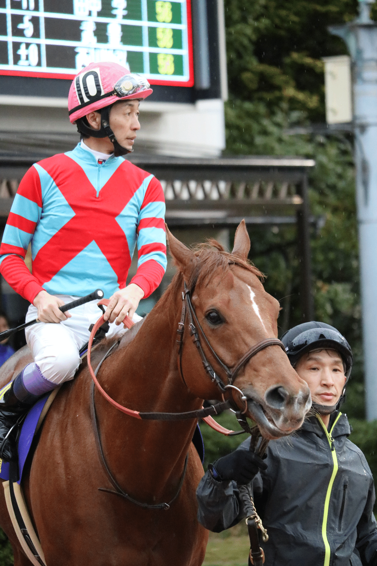 浦和競馬　勝負服　國分騎手サイン入り 71G7TdjIzxL._UF350,350_QL50_.jpg