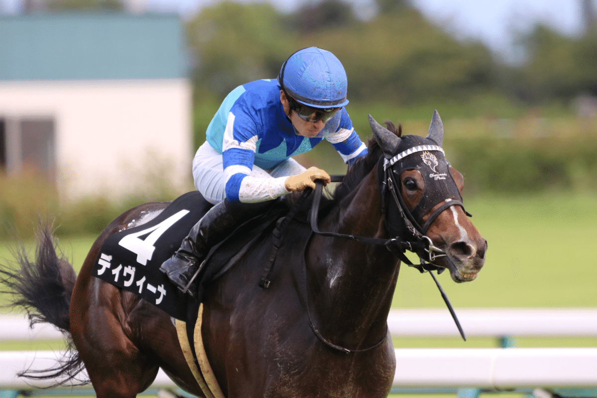 一目でわかる「あの人の馬！」〜勝負服の話〜｜ひでまさねちか