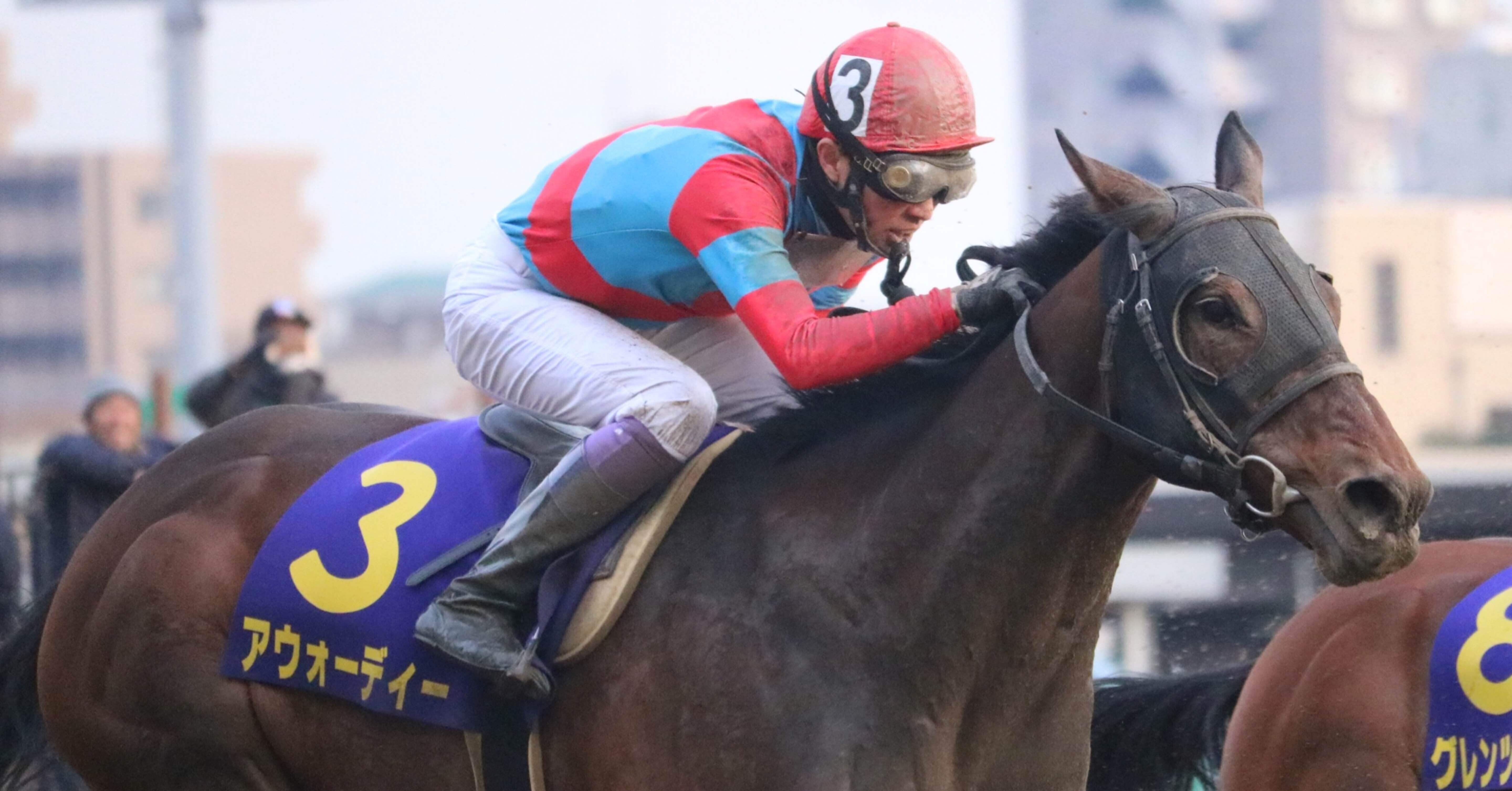 一目でわかる「あの人の馬！」〜勝負服の話〜｜ひでまさねちか