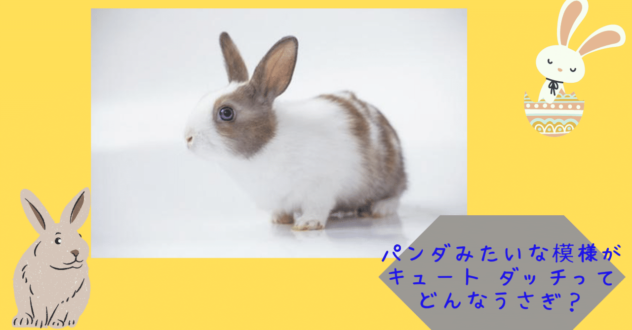 rectangle_large_type_2_1699732 rectangle_large_type_2_1699732
