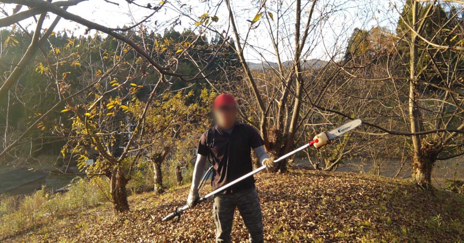 22 12 08 栗剪定 まっちゃんの農業日誌 松本かほく農園 Note 22 12 08 栗剪定 まっちゃんの農業日誌 松本かほく農園 Note