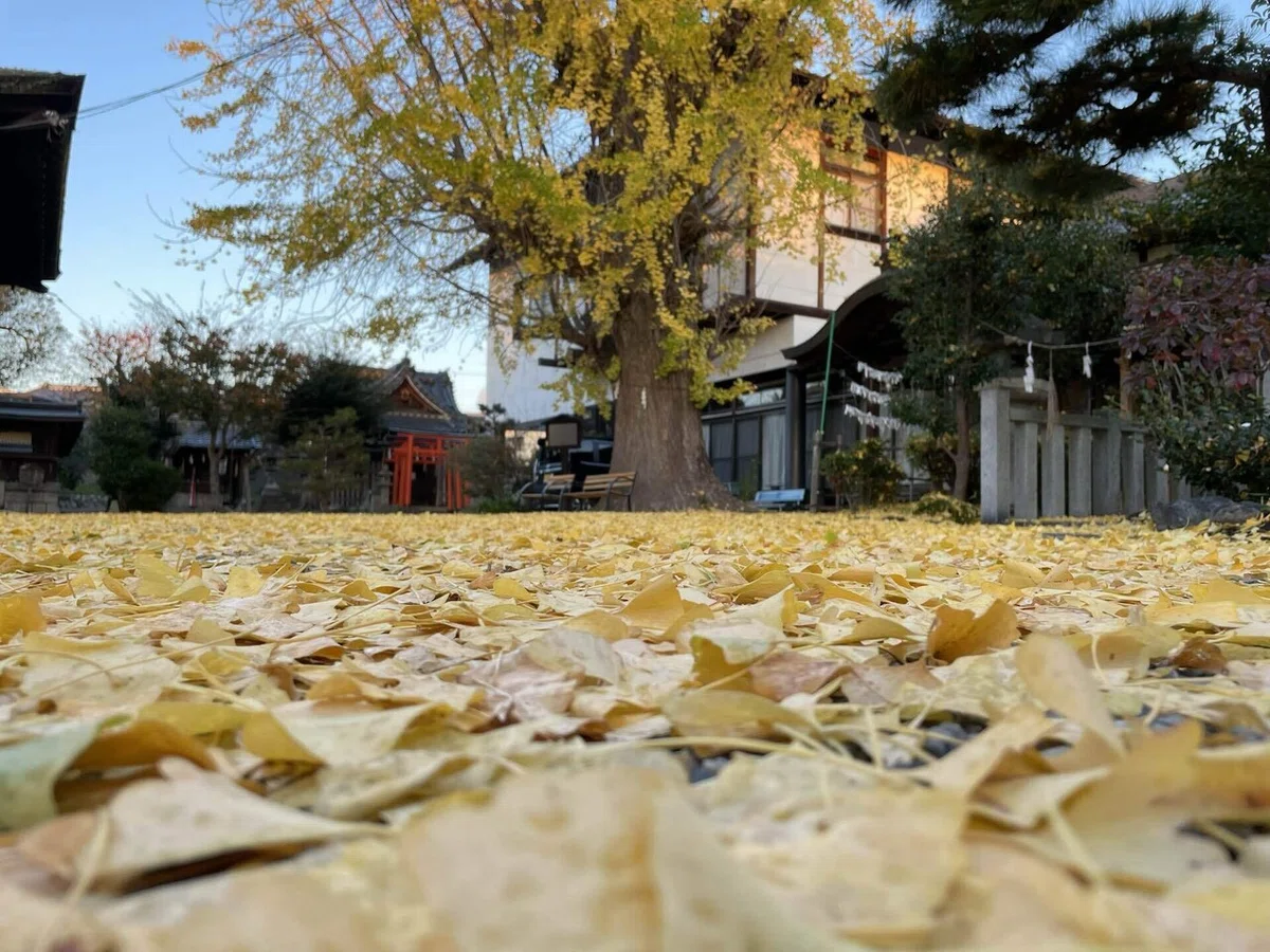 画像