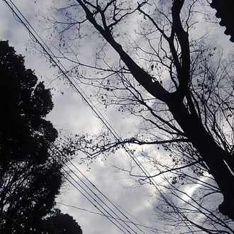 暇といえば暇なのかもしれないが本当は寂しい というか言葉が溢れてくるから更新しているような気がする 形にならないままで 生まれようとして でもきっと喪われてしまう 秋来 Note