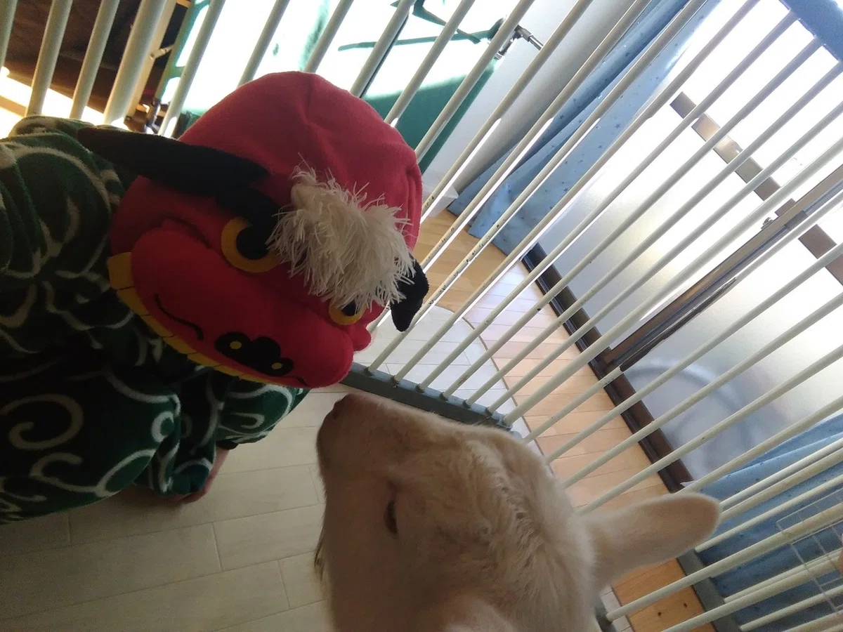 画像8