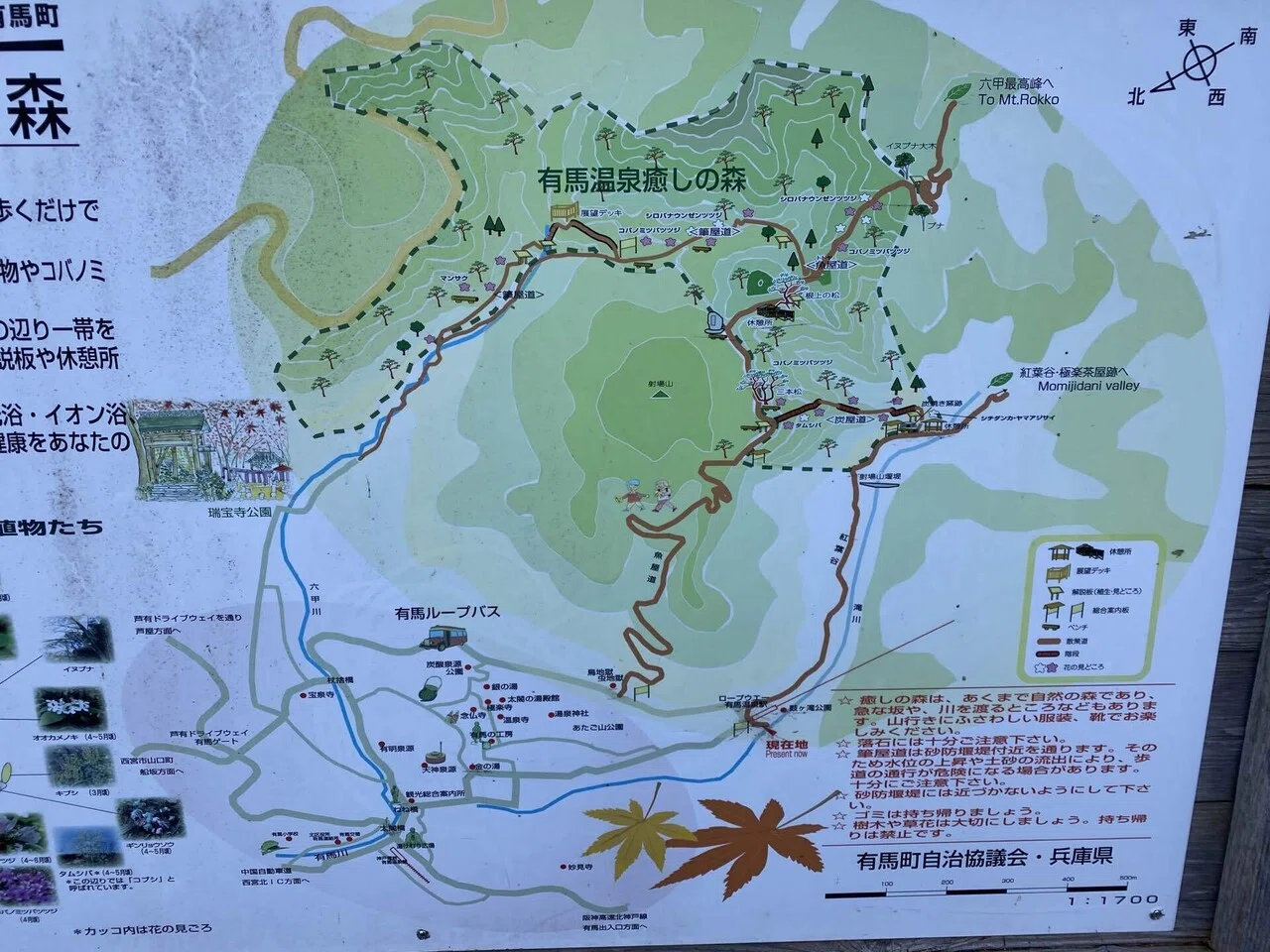 阪神地域のランドマーク 六甲山 最高峰｜mountain go