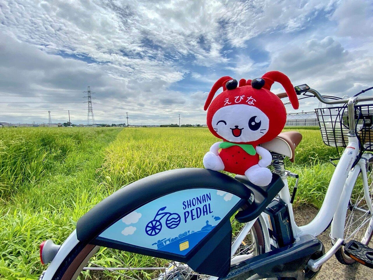 えびぽた Ep2 海老名の秋の実りと「かかしまつり」を楽しもう！ SURUGA