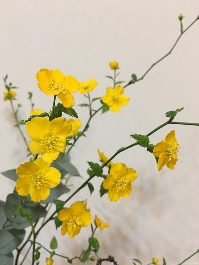 人生を暗示する色 源氏物語 の色彩 千花物語 Note