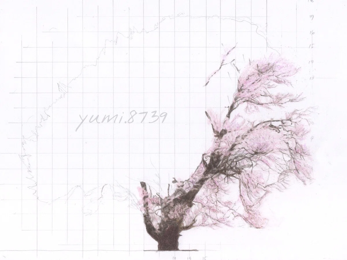 【原画・一点物】桜 鉛筆画 手描き A4 額装済み／繊細な線が生きる美人画 美少女鉛筆画 「桜咲く頃の想い」A4ケント紙原画 遠藤さくら｜雪峰