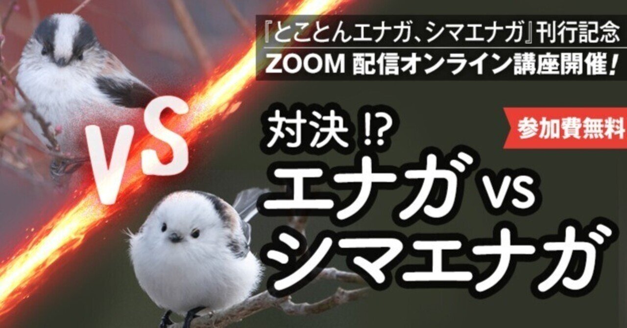注目のブランド シマエナガ様制作費ページ コスプレウィッグ