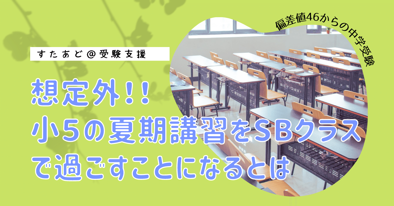 早稲田アカデミー 小5 夏期講習会 テキスト 他全15冊