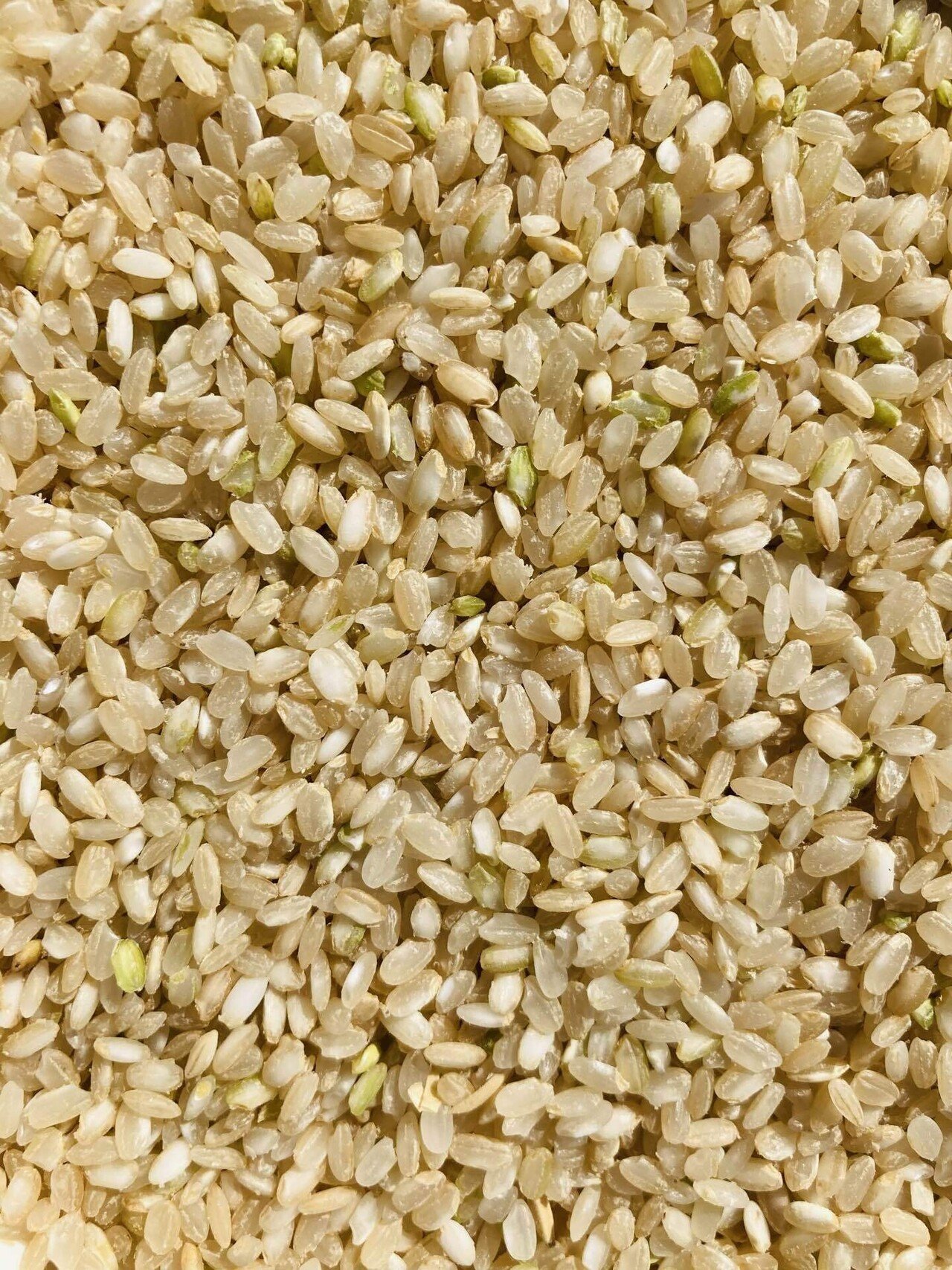 りんごうるち米精米 黒米入り 信州りんご米せんべい（70g） 1袋 | お菓子 | 素材