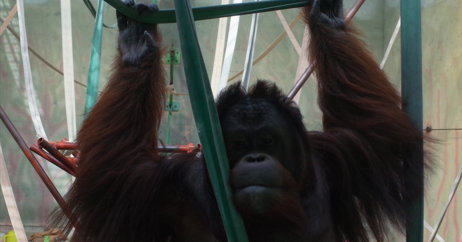 森の賢人 Xaymaca Note