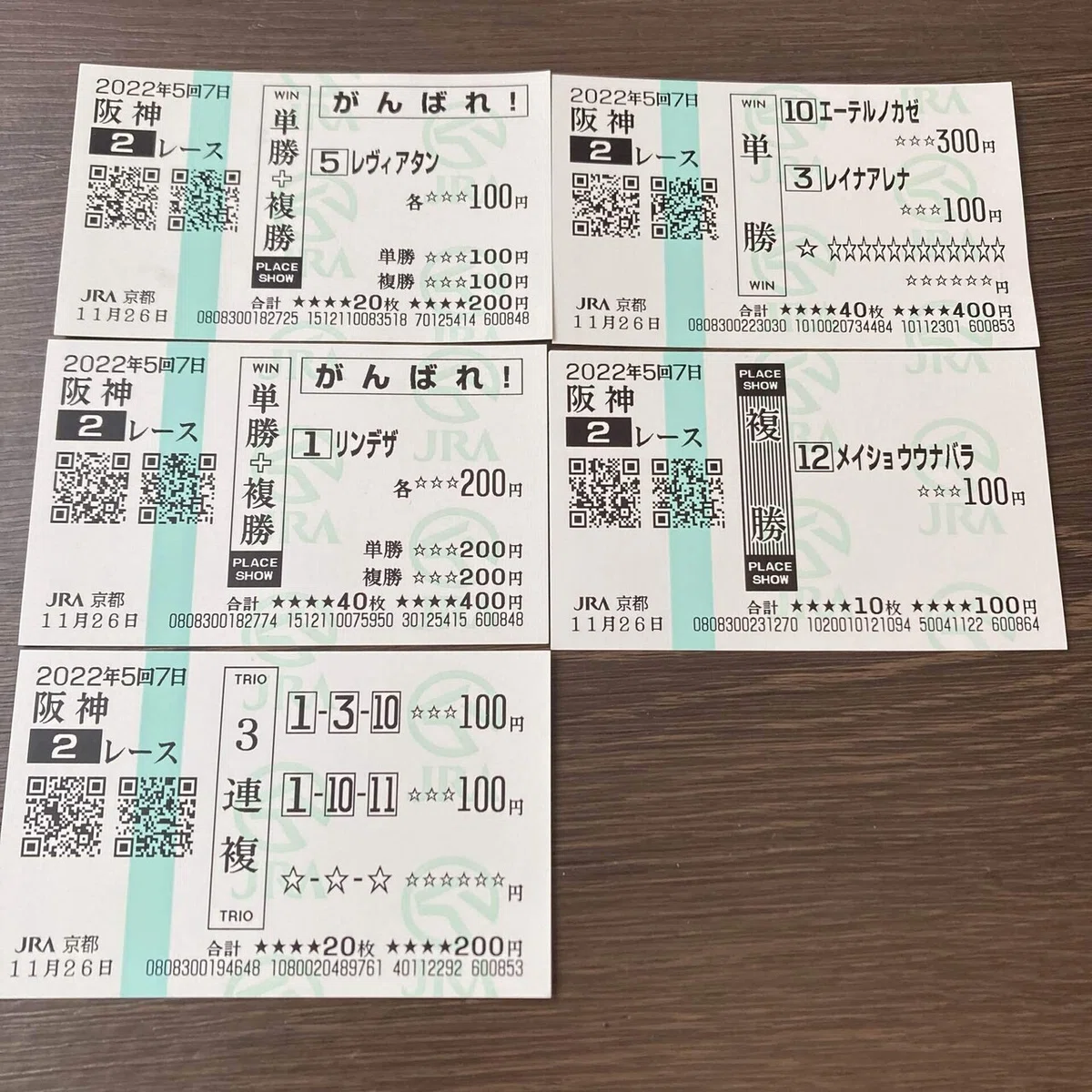 初心者が馬に賭けてみた結果www【12/10 中京1R 2歳未勝利】｜ナトリウム