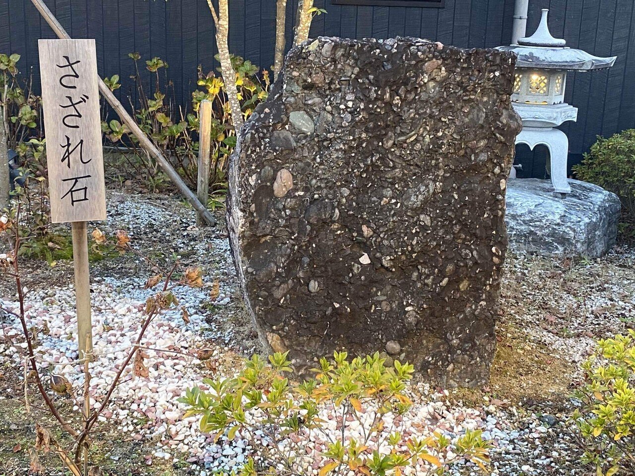 未着用 茶地 玉虫 さざれ石風 桜花びら 着物・浴衣