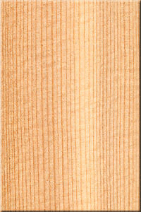 SP3110 シトカスプルース　ベアクロウ材　ブックマッチ材 ４ｍｍｘ２８ｃｍｘ６6ｃｍ　２枚 アコースティックギター 木目と音の話 ＃４ - 道楽者の詩