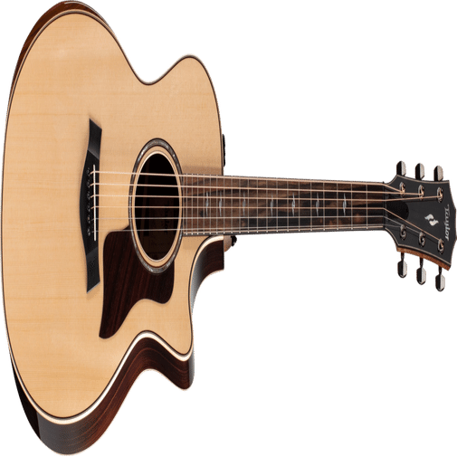 アコギのトップ材 シトカ・スプルース編｜無射