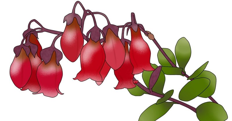 花言葉日誌：12月11日の誕生花は「カランコエ」