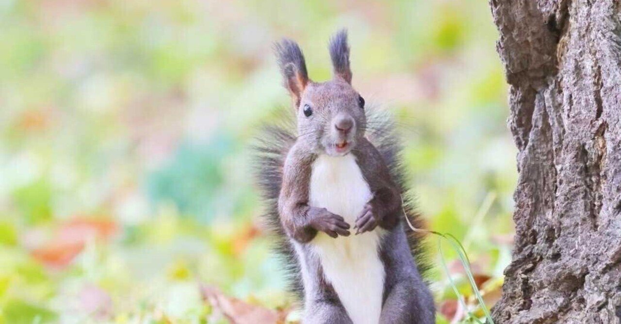 闇のトラップ（罠）＆ カルマ｜chozo｜note