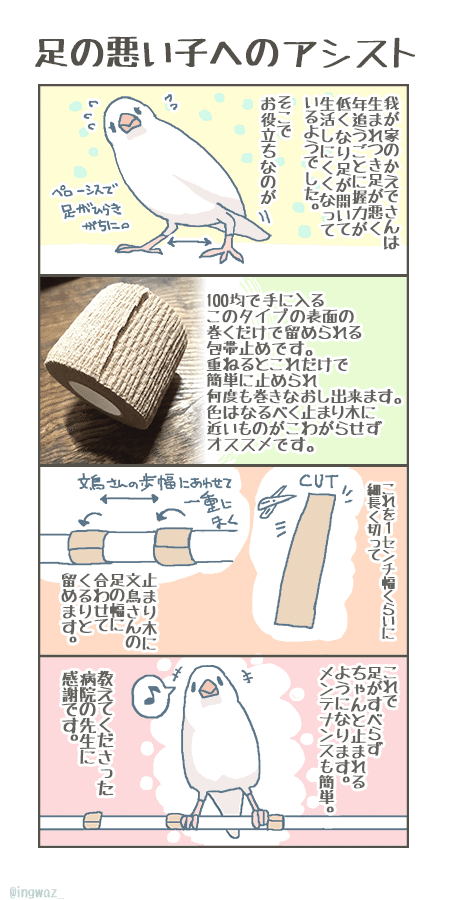 足の悪い文鳥さんへのアシスト 文 Note 足の悪い文鳥さんへのアシスト 文 Note