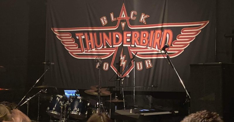 2年越し、念願のアイドラに会って沼に落とされた話〜Black thunderbird 