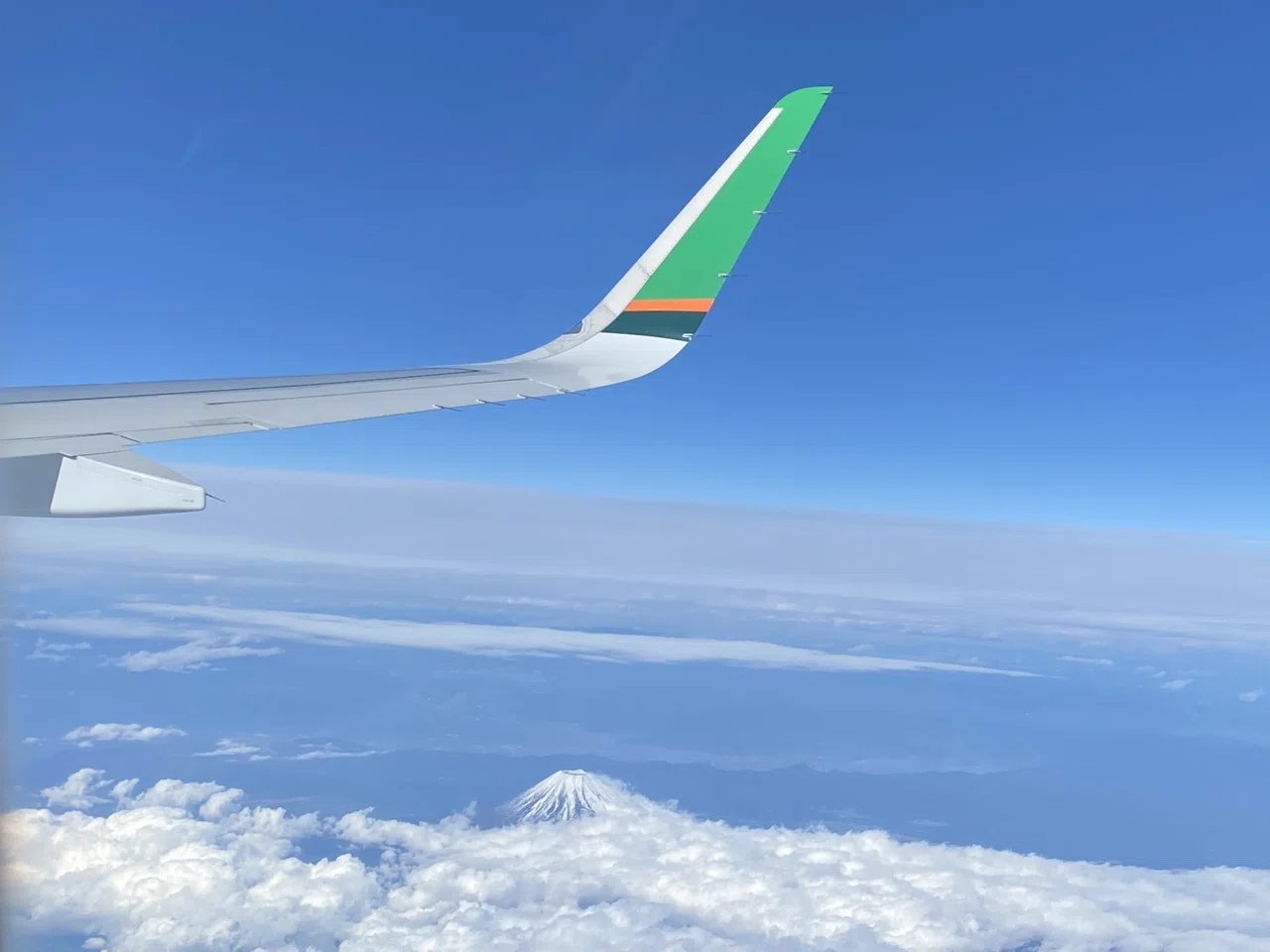 [EVA Air] Oriental Vegetarian In-flight Meal｜野々花(ののか)さわ