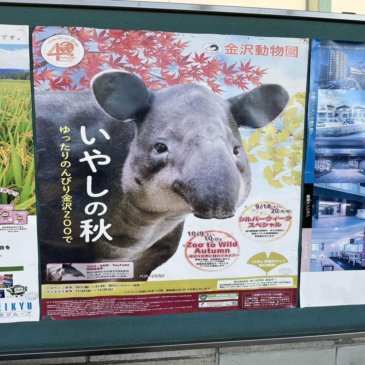 アグアの笑顔に魅せられて 金沢動物園 綾羽 Note