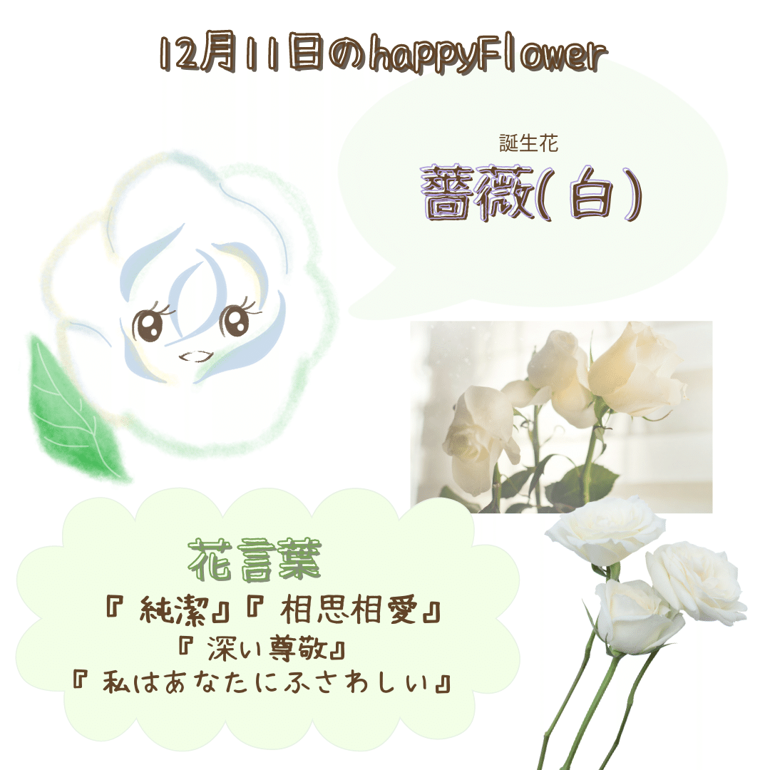 12月11日の誕生花と花言葉でおめでとう イラスト 写真 森田はぐみ イラストレーター 花popはぐ 運営 Note