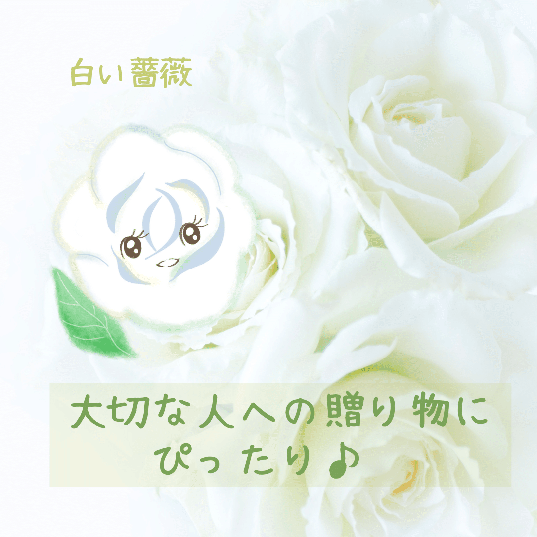 12月11日の誕生花と花言葉でおめでとう イラスト 写真 森田はぐみ イラストレーター Hanapopdesign Hug Note