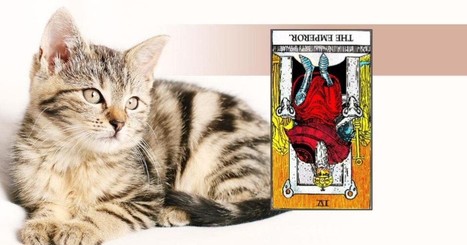 仕事が好きじゃありません。どうすればいいですか？」悩み相談に